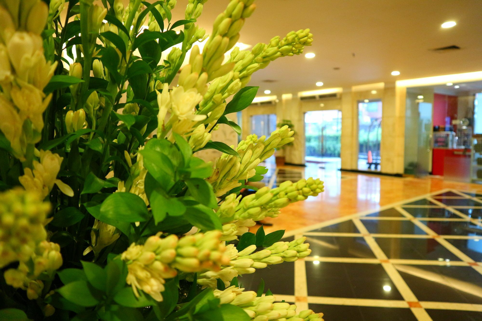 Horison Arcadia Mangga Dua Hotel Jakarta Exterior photo